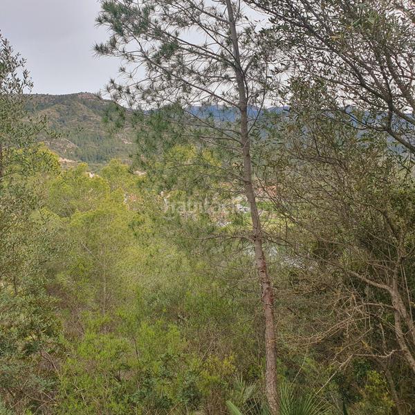 Foto 1c284232-7a60-4e4b-bf52-4b883bc1ba65. Rural plot in Benifallet