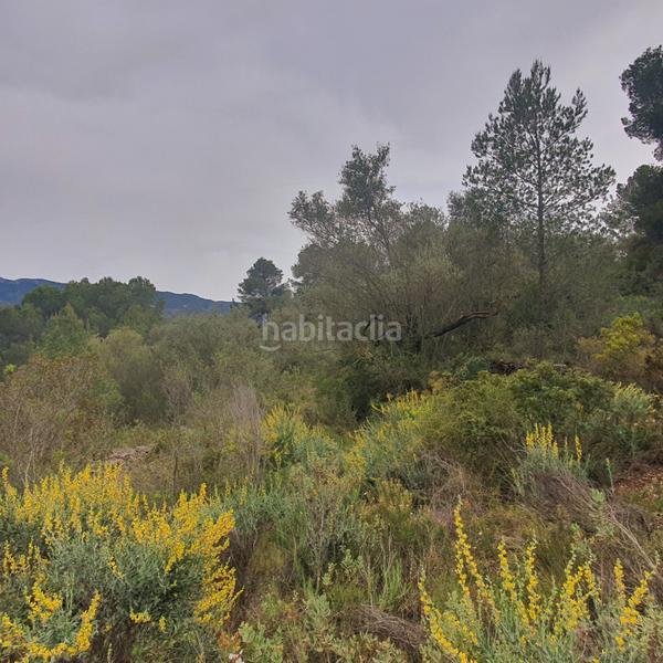 Foto 360154ae-f451-45a2-944a-3f55b207bdb2. Rural plot in Benifallet