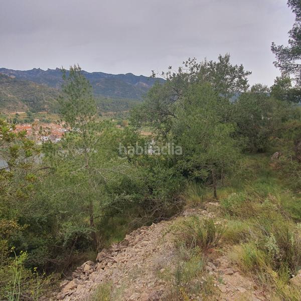 Foto 501f0803-78c1-4aaa-9fb7-d685d9af7855. Rural plot in Benifallet