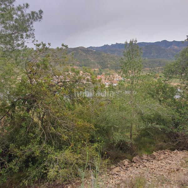 Foto 515c013a-6eb6-4b70-a765-36b0b74506c8. Rural plot in Benifallet