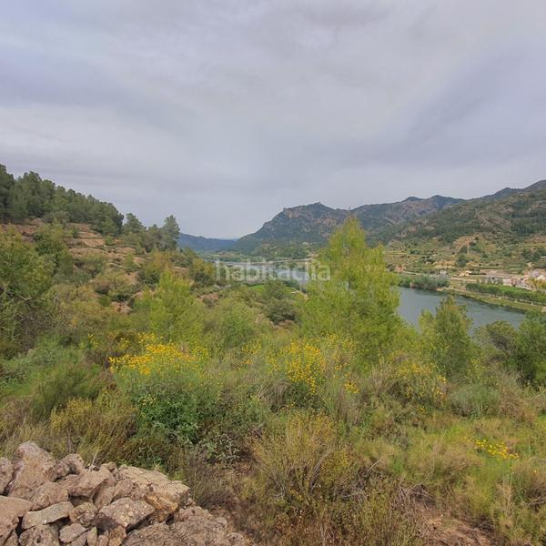 Foto 57fdd0c2-e406-4449-bc79-262483c319d4. Rural plot in Benifallet