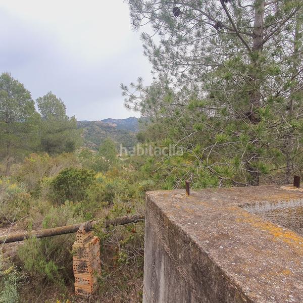 Foto 6839534d-277e-4a15-bda4-6f1a877e6f88. Rural plot in Benifallet