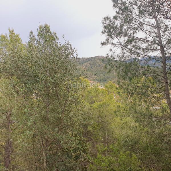 Foto 69b7d159-e9a8-4ea7-a511-6748a350eefb. Rural plot in Benifallet