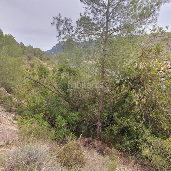 Foto 6baaf2d0-3169-4143-98cb-e1bd35701204. Rural plot in Benifallet