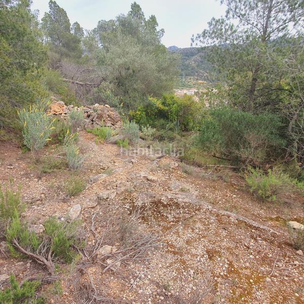 Foto 7d08f56d-0329-4ea9-90c7-12d566ba79f3. Rural plot in Benifallet