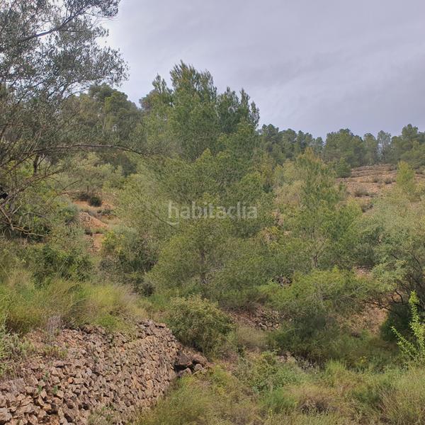 Foto a1ead67d-1186-42f0-820d-1b34dea0aa1b. Rural plot in Benifallet