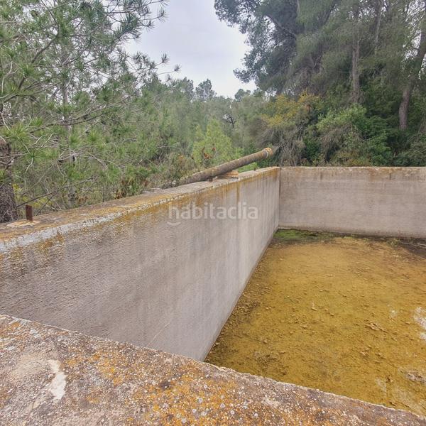 Foto a33e1c57-ce46-4868-8d93-66d661d0f491. Rural plot in Benifallet