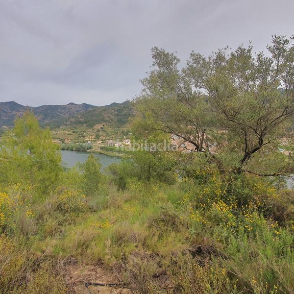 Foto c39e93dc-dff2-4b5a-85e5-36cf89422304. Rural plot in Benifallet