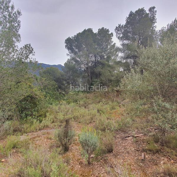 Foto cd1037d1-8ec9-443f-a5e3-b84b16d81874. Rural plot in Benifallet