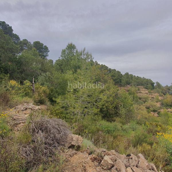 Foto ce6c912f-f18d-408b-bb67-348217056f9e. Rural plot in Benifallet