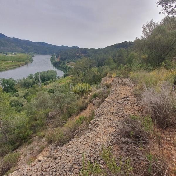 Foto e51ae0b6-0fe5-46ce-aae4-cb66fbb47a99. Rural plot in Benifallet