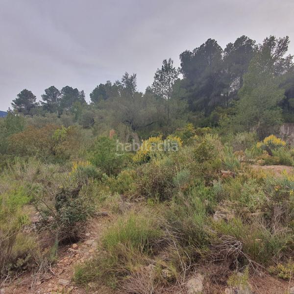 Foto ebd4c461-72a6-451f-9da0-37f0a9a54ad4. Rural plot in Benifallet