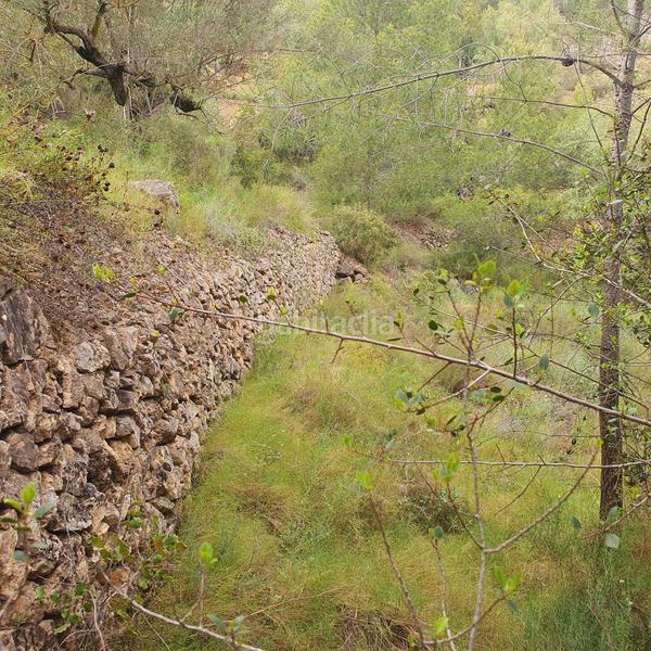 Foto ede4a9e4-d300-46ae-be0d-7815d70e74e3. Rural plot in Benifallet