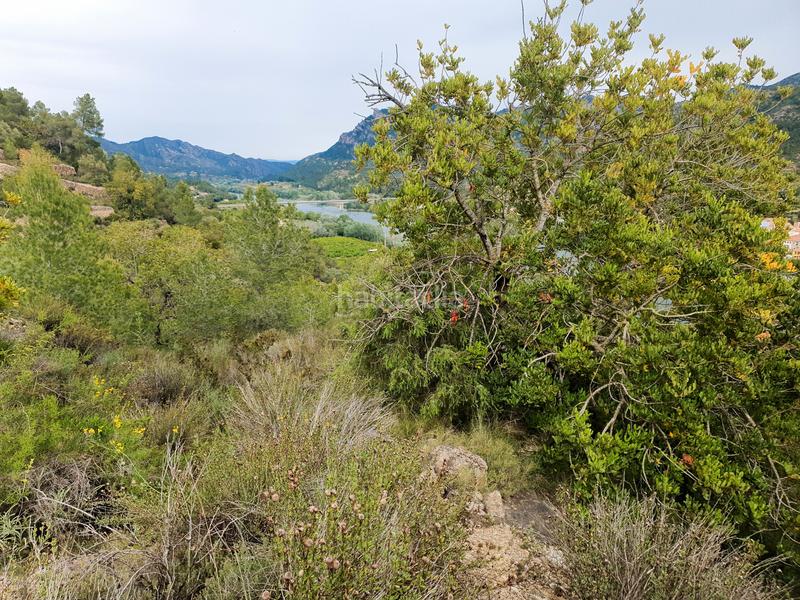 Foto eeee0450-ef51-4a95-bad1-330b15a020eb. Rural plot in Benifallet