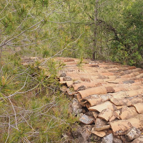 Foto f8637e31-21e2-4ae6-9bd6-c1f2292a1053. Rural plot in Benifallet