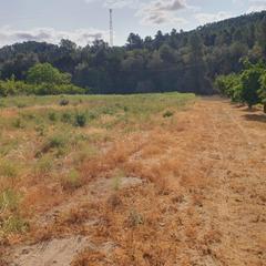 Finca rústica a Rasquera