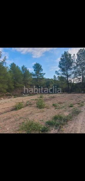 Foto 50ea0c2c-9d16-43f7-aa6d-e5f6beacef7a. Casa en Benifallet