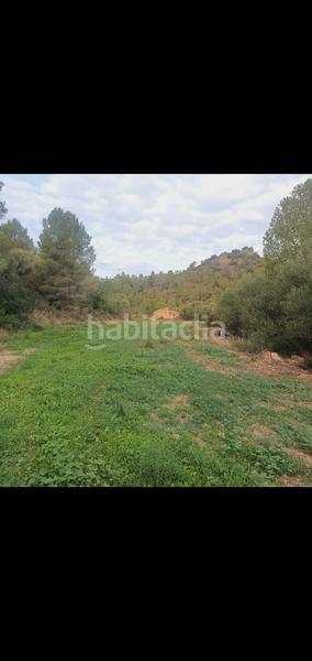 Foto 53d44788-314a-49a1-a027-411d79315cfe. Casa en Benifallet