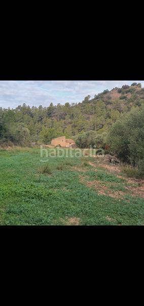 Foto 5c60c5f9-e97a-4801-bbf0-02244852a206. Casa en Benifallet
