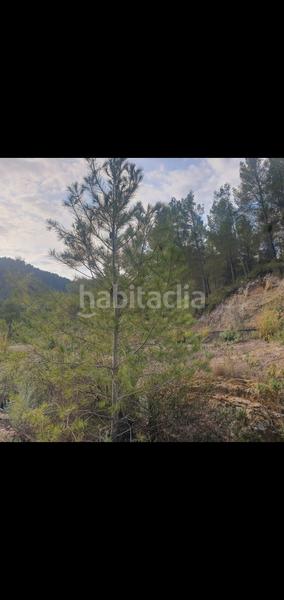 Foto baa507f1-4fe3-4fd6-aba2-3d46d290b85a. Casa en Benifallet