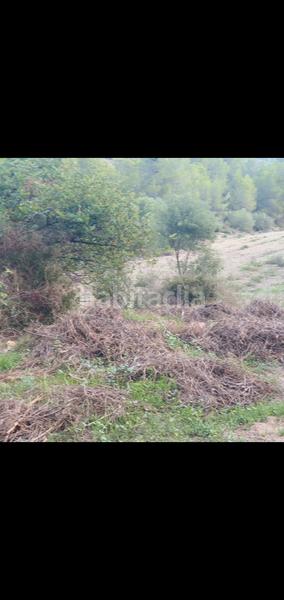 Foto c898bbdc-3af7-4018-82a9-0209633a6e59. Casa en Benifallet