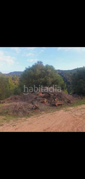 Foto d784379b-63a4-4f2d-88ca-2d33201d1d1c. Casa en Benifallet