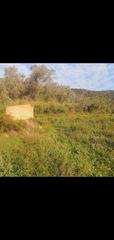 Rural plot in Benifallet