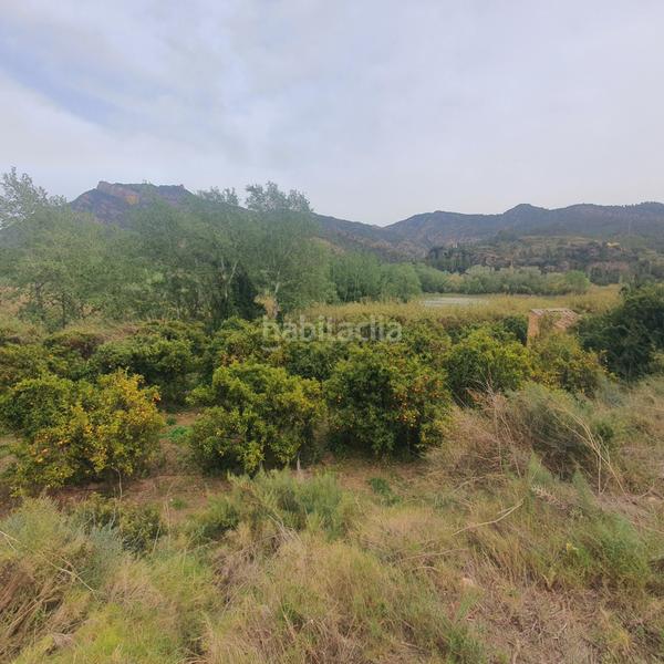 Foto 0cf82342-7e3a-4f8e-ab17-cd861eb31a1b. Rural plot in Benifallet