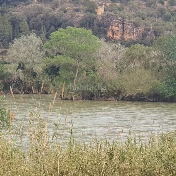 Foto 5980b8ed-4c52-49bc-8ed7-dd94c3cdfa0c. Rural plot in Benifallet