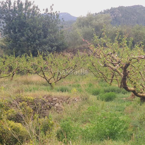 Foto 5c2c70bf-daff-4c40-aaca-557018801fc6. Rural plot in Benifallet