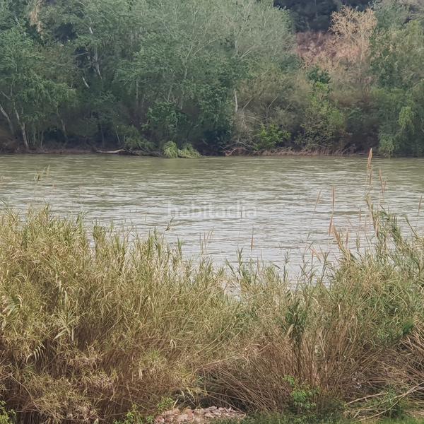 Foto 62e5559a-e0a6-4477-8dfa-eb481f383bf8. Rural plot in Benifallet