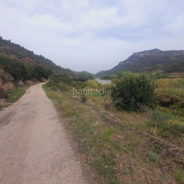 Foto 7887a73c-0f69-4752-8cad-d4a5d8fe4966. Rural plot in Benifallet