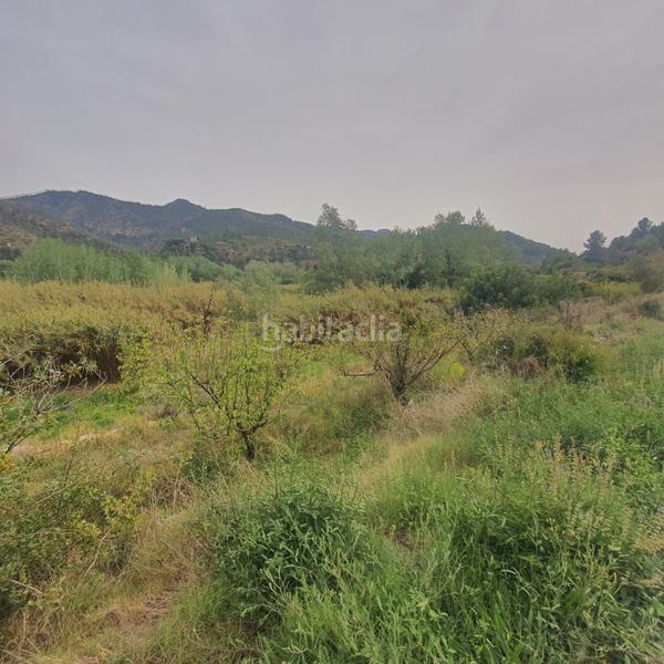 Foto 83698d65-f602-4c18-89b2-1166b5bef1fc. Rural plot in Benifallet