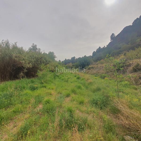 Foto 8461e704-e141-4081-893f-b9bdf6728b51. Rural plot in Benifallet