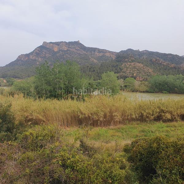 Foto a1a8931d-60a1-47aa-b6c9-1cc9a5fbe4e4. Rural plot in Benifallet