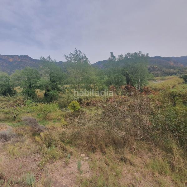 Foto e2b4c569-66b6-426e-8380-dad0db40aab8. Rural plot in Benifallet