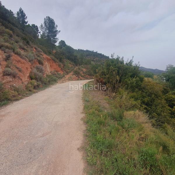 Foto f1fbd24c-f63a-4f99-873a-9f6cd555a9d8. Rural plot in Benifallet