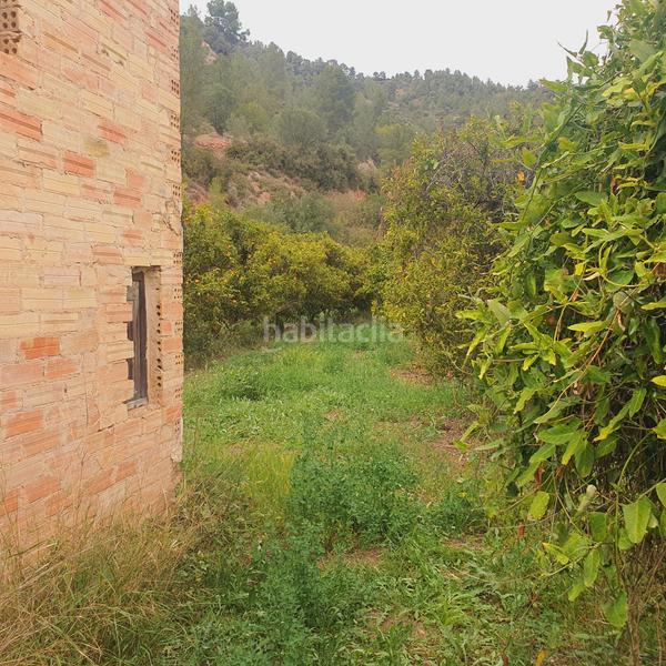 Foto fa12d2f3-e9b3-4262-869d-2c23fcb6e5e7. Rural plot in Benifallet