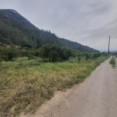 Rural plot in Benifallet. Finca en venta en benifallet