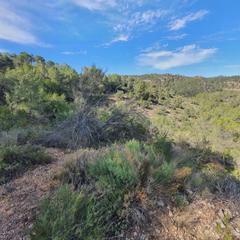 Rural plot in Benifallet. Suelo agrícola en venta en benifallet