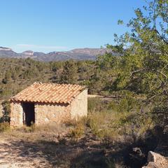 Rural plot in Pinell de Brai (El). Suelo agrícola en venta en el pinell de brai