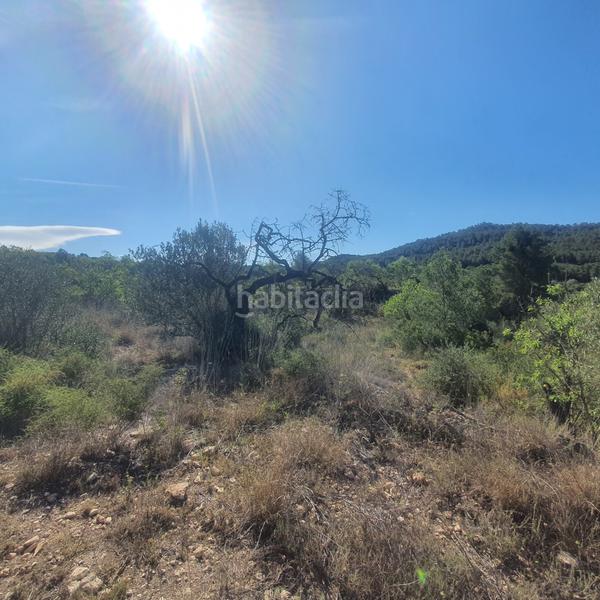 Foto 26a4d752-4ed9-47f6-a8eb-f760bdb9b838. Rural plot in Pinell de Brai (El)