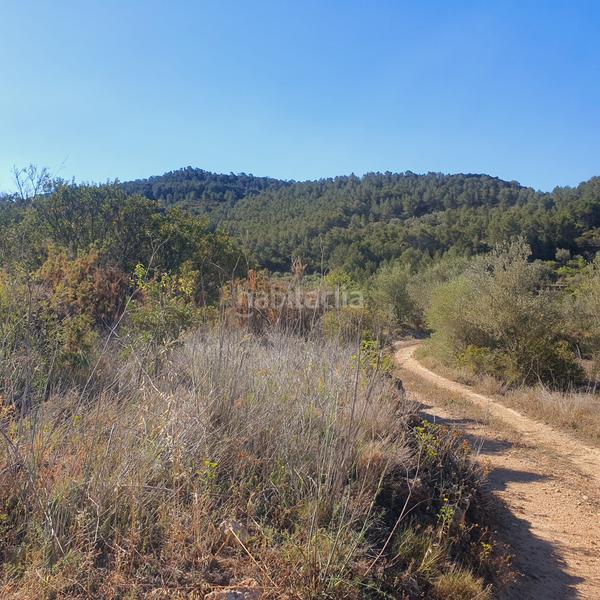 Foto 31c57e9a-b1dc-4098-a454-778d3eec5e56. Rural plot in Pinell de Brai (El)