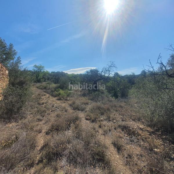 Foto 5c23e58b-1113-44ea-8c8b-ca201719a3fd. Rural plot in Pinell de Brai (El)