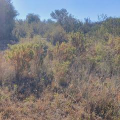 Rural plot in Pinell de Brai (El). Suelo agrícola en venta en el pinell de brai