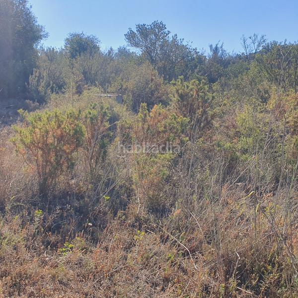 Foto 69489433-1939-4aec-8239-7141d1968a6e. Rural plot in Pinell de Brai (El)