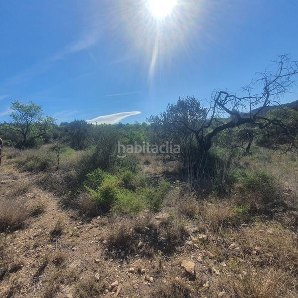 Foto 774a5572-0587-4970-8272-555ec62d40e0. Rural plot in Pinell de Brai (El)