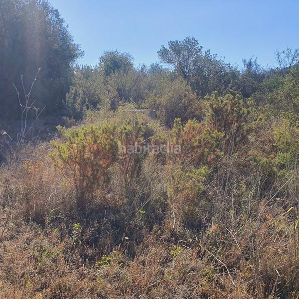 Foto 867d9617-fcb5-4749-9649-8cbecc3bc6b4. Rural plot in Pinell de Brai (El)