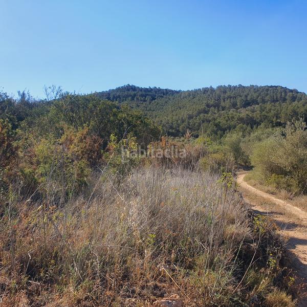 Foto f91f805f-66e2-458d-814a-14c1486d185b. Rural plot in Pinell de Brai (El)