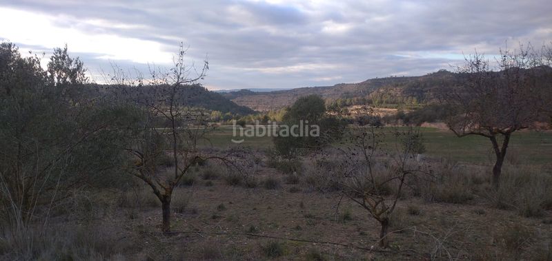 Foto 93d05f1e-8049-463e-a905-b52751e299dd. Finca rústica a Torre de l´Espanyol (La)